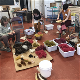 From Sheep to Shawl (Spooky Week)