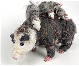 Wrapping Wild–Making Animals Out of Recycled Materials