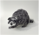 Wrapping Wild–Making Animals Out of Recycled Materials