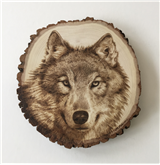 Modern Woodburning Skills