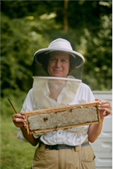Whats the Buzz About?