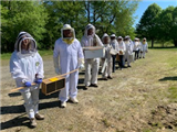 Whats the Buzz About?