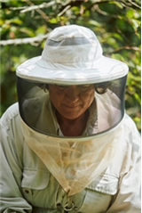 Whats the Buzz About?