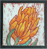 Enamel Paint Sgraffito