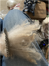 Shetland Wools–Tremendous Variety, Infinite Possibilities
