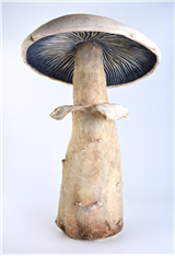 Cold Finishes on Ceramic Sculptures
