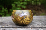 Autumn Gourds (Long Weekend)
