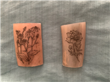 CANCELLED-Scratching the Surface–The Art of Scrimshaw