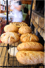 The Science of Bread (Spooky Week)