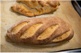The Science of Bread (Spooky Week)