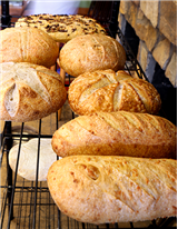 The Science of Bread (Spooky Week)
