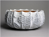 Exploring Form & Texture in Wood Turning 