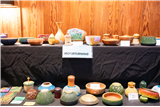 Exploring Form & Texture in Wood Turning 