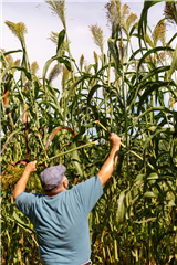 Appalachian Broom Making & Beyond