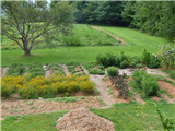 Garden to Cloth–Exploring Plant-based Dyes