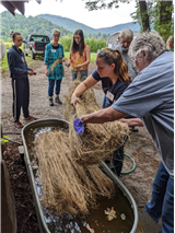 Putting a Spin on Flax–Field to Fiber