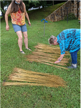Putting a Spin on Flax–Field to Fiber