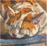 Expressive Animal Portraits
