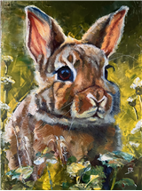 Expressive Animal Portraits