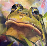 Expressive Animal Portraits