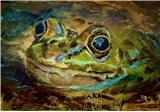 Expressive Animal Portraits