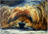 Expressive Animal Portraits