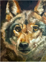 Expressive Animal Portraits