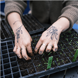 Organic Gardening in Appalachia