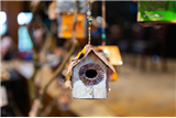 Its for the Birds