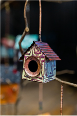 Its for the Birds