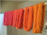 Spinning the Spectrum–Limitless Color!