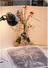 Drawing Approaches for Nature Subjects