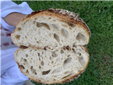 Breads & Wild Spreads