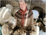 Fair Isle Knitting–Starting with Color