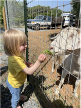Farm School
