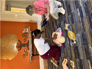 Red Cross BLS CPR Part 2: Skills Session 06/05/2026 CIC Bernardsville NJ 9am