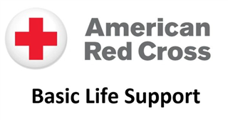 Red Cross Basic Life Support (BLS), Blue Titan Fitness Rockaway NJ 06/06/2026 9am