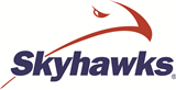 Kehoe-France 2nd/3rd Skyhawks Baseball