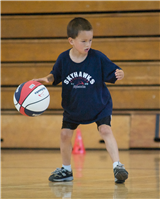 MultiSport (Soccer, Basketball)