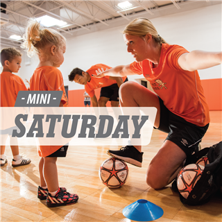 Norwood - Impact Zone - 8:45am Mini - Winter 1 - Indoor 2024/2025