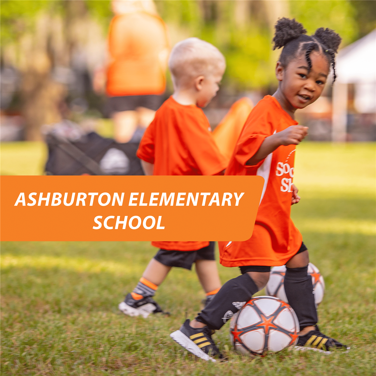 PUBLIC ASHBURTON ES SPRING 2025 SAT