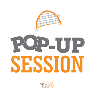               POP UP SESSION- FALL 2.0- Sauk Trail Elementary School Gym - (Indoor) (10:15am) (Ages 3-5)