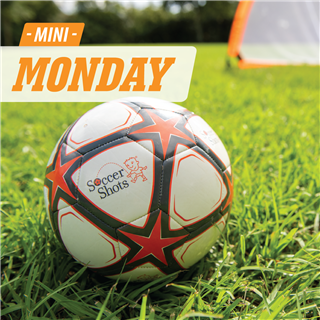 Carl Cowan Park Field 1 | SPRING | Mon | 5:35 | Ages 2-3