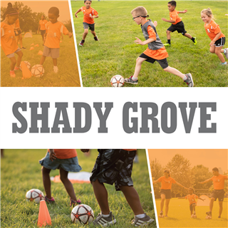 Shady Grove Elementary Winter 2024/25 (4:45pm- Mini)