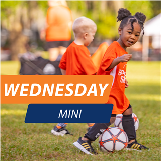 Verdugo Park | Mini (2-3 year olds) | Wednesdays @ 3:30 pm | Fall 2024