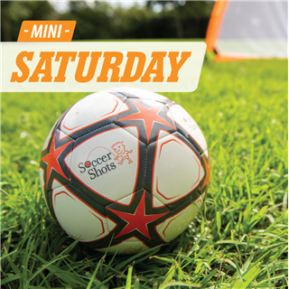 Salmon Bay Elementary School (OUTDOOR) - Saturdays - Mini (Field 1)